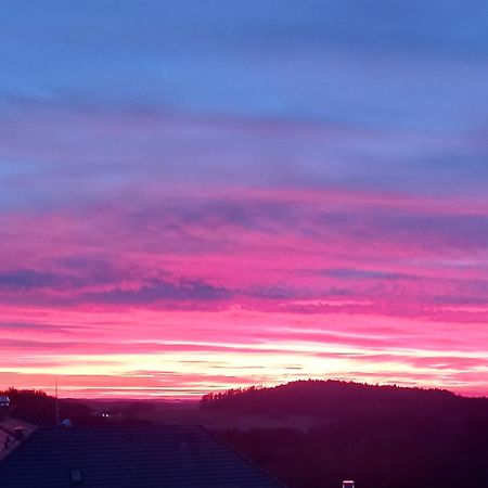 Ferienwohnung Schoenblick Waldmunchen Bagian luar foto