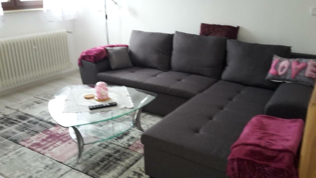 Ferienwohnung Schoenblick Waldmunchen Bagian luar foto