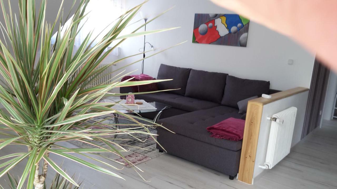 Ferienwohnung Schoenblick Waldmunchen Bagian luar foto
