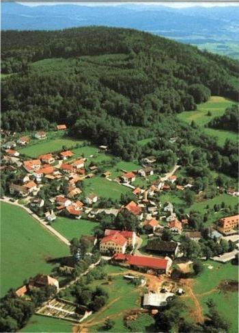 Ferienwohnung Schoenblick Waldmunchen Bagian luar foto