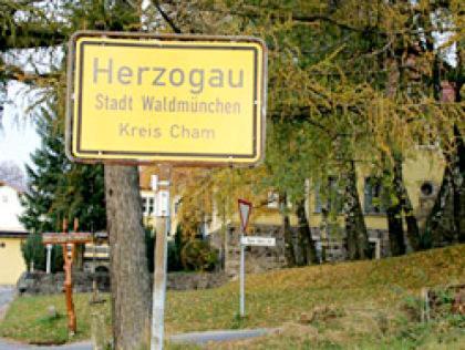 Ferienwohnung Schoenblick Waldmunchen Bagian luar foto